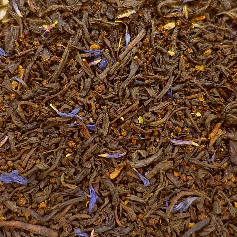 Magicien des Steppes