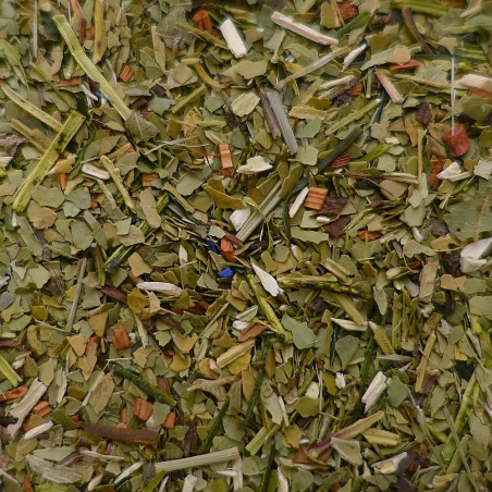 Potion Magique Orange