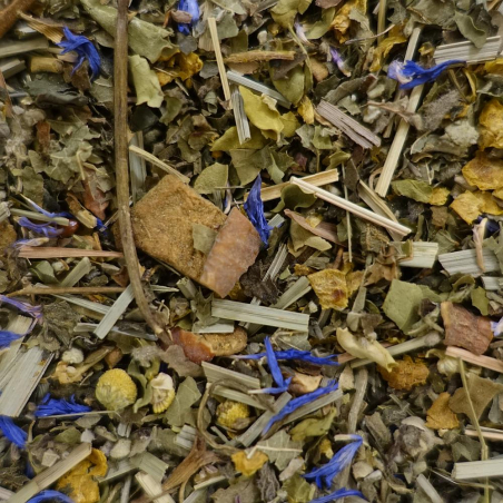 Forza Moringa - NATURE